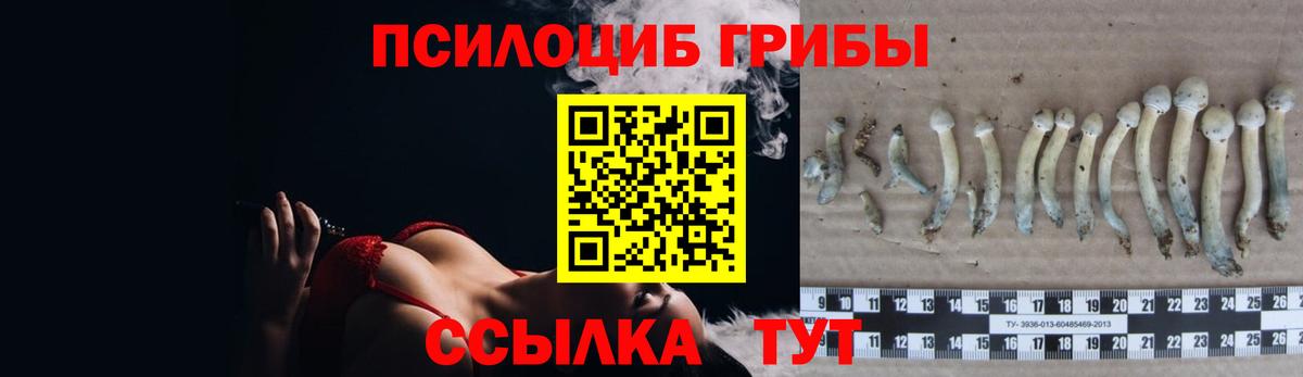 Галлюциногенные грибы прущие грибы  Псилоцибиновые грибы ЛСД  хочу   Саров  Вход с VPN 